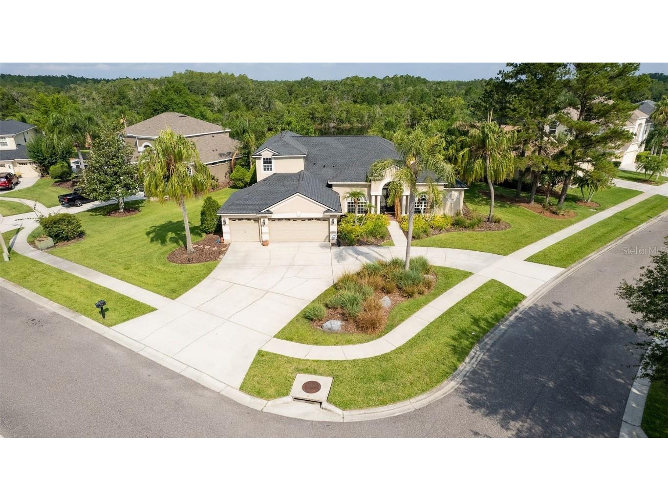 6101 Saint Remy Way Lutz FL 33558 T3450346 image1