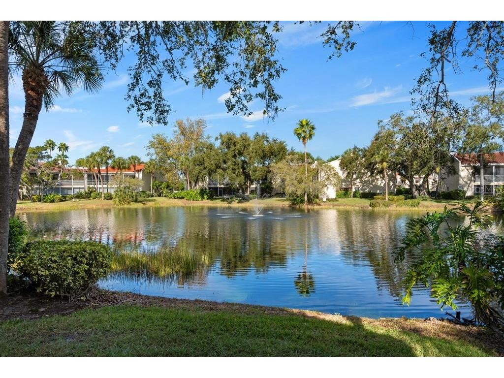 6101 W 34th Street W #6D Bradenton FL 34210 A4674661 image29