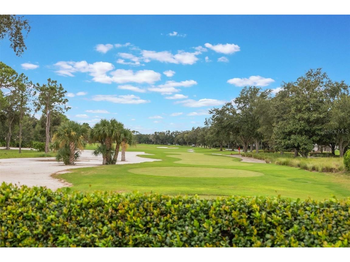 6102 S Hampshire Court Windermere FL 34786 O6344907 image83