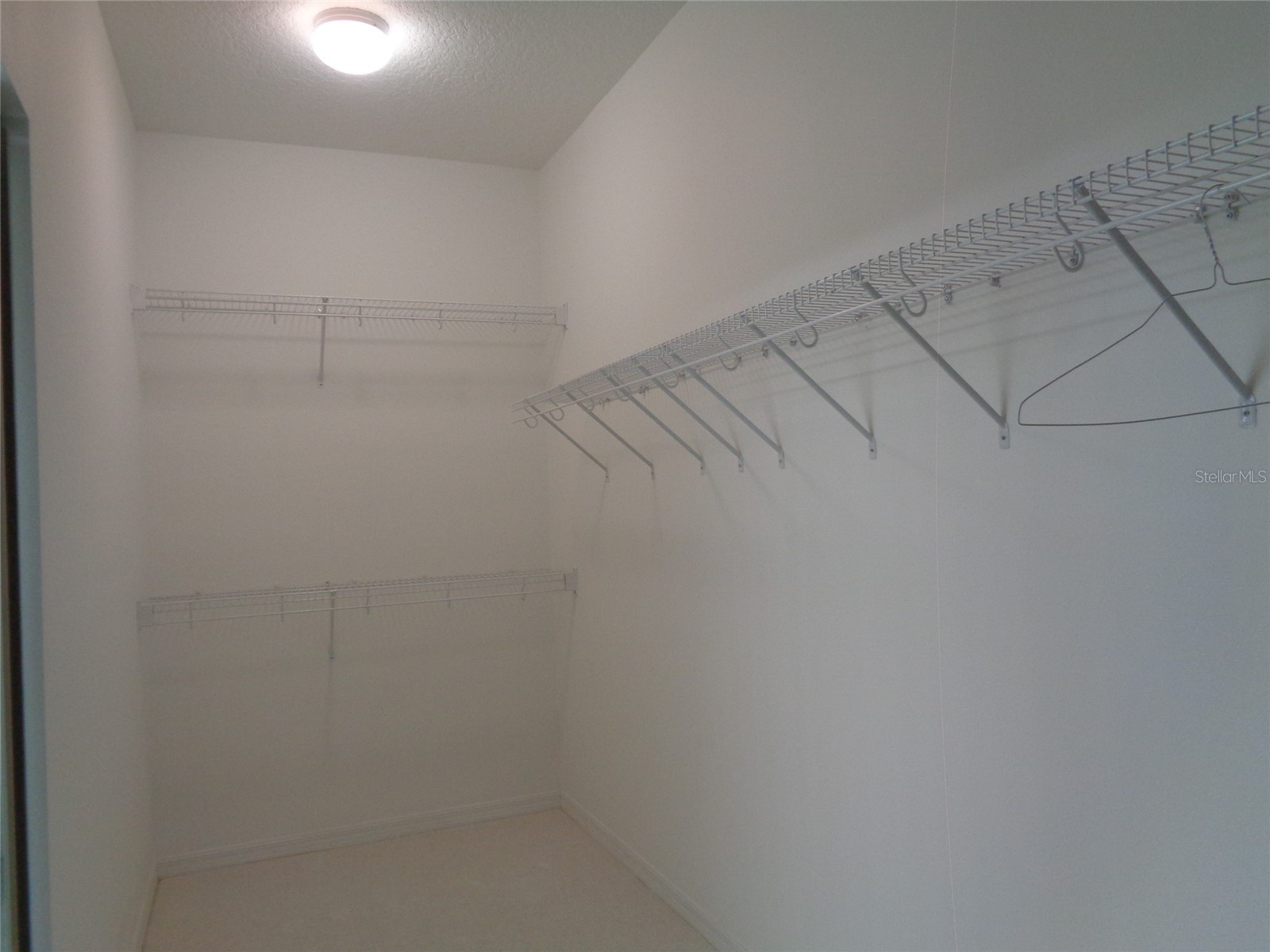 6102 Savoy Circle Lutz FL 33558 TB8487856 image28