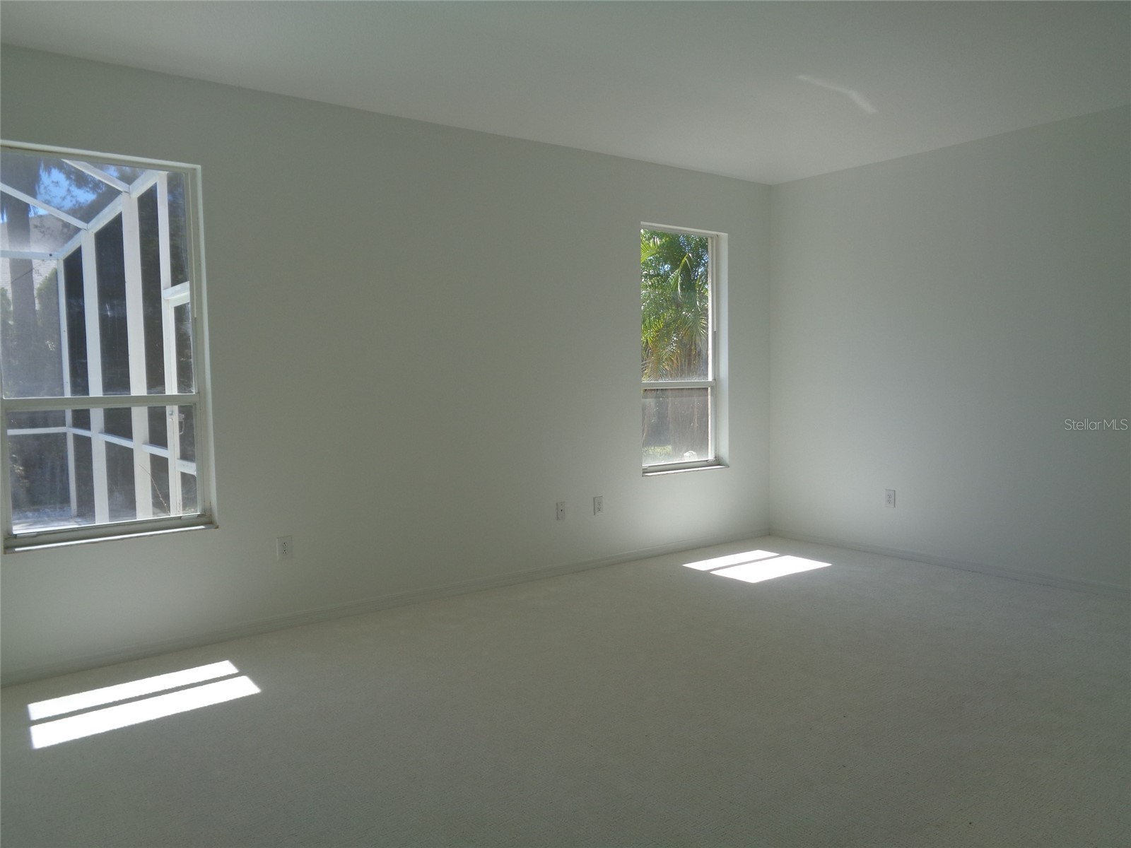 6102 Savoy Circle Lutz FL 33558 TB8487856 image30