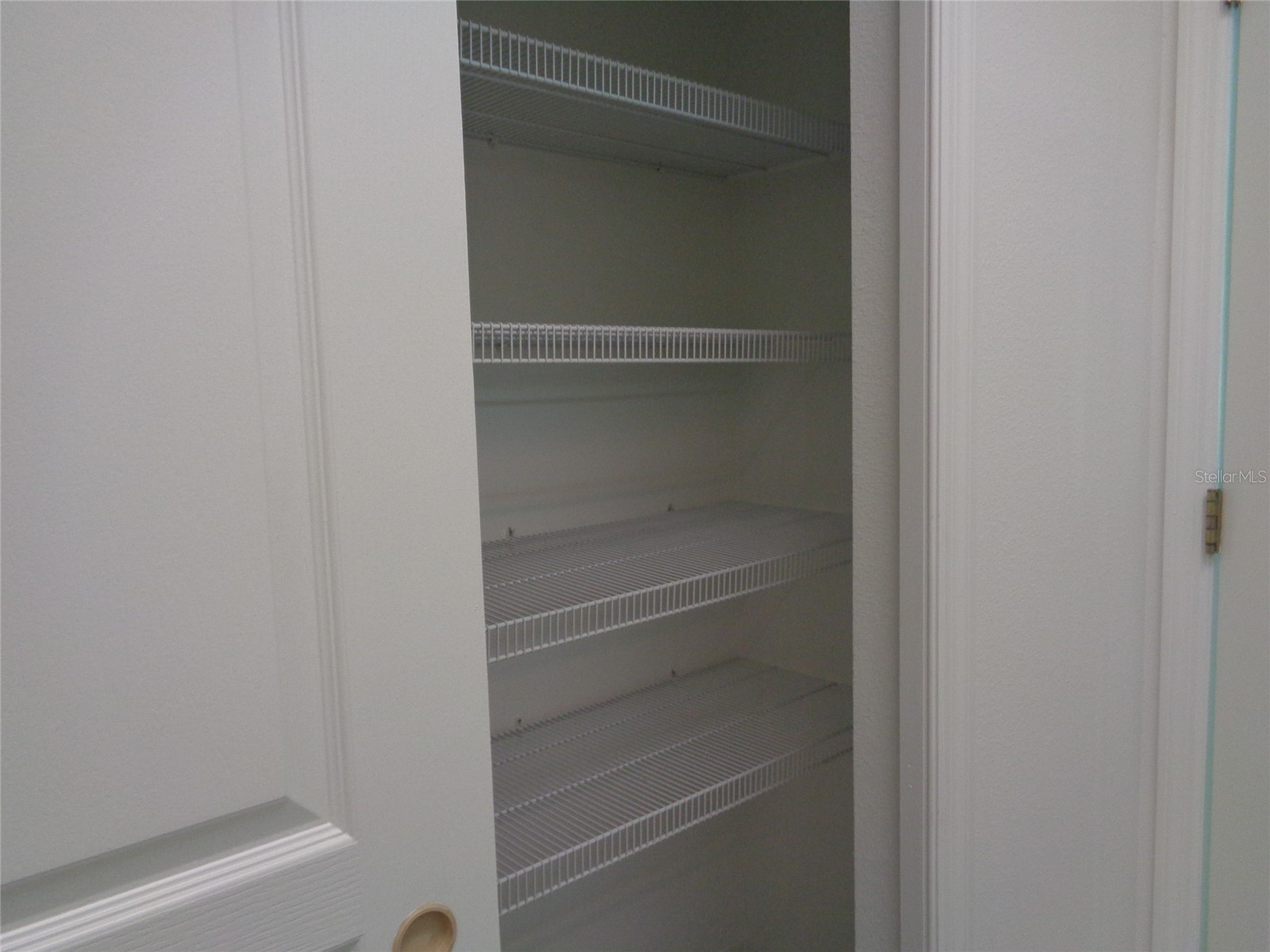 6102 Savoy Circle Lutz FL 33558 TB8487856 image32