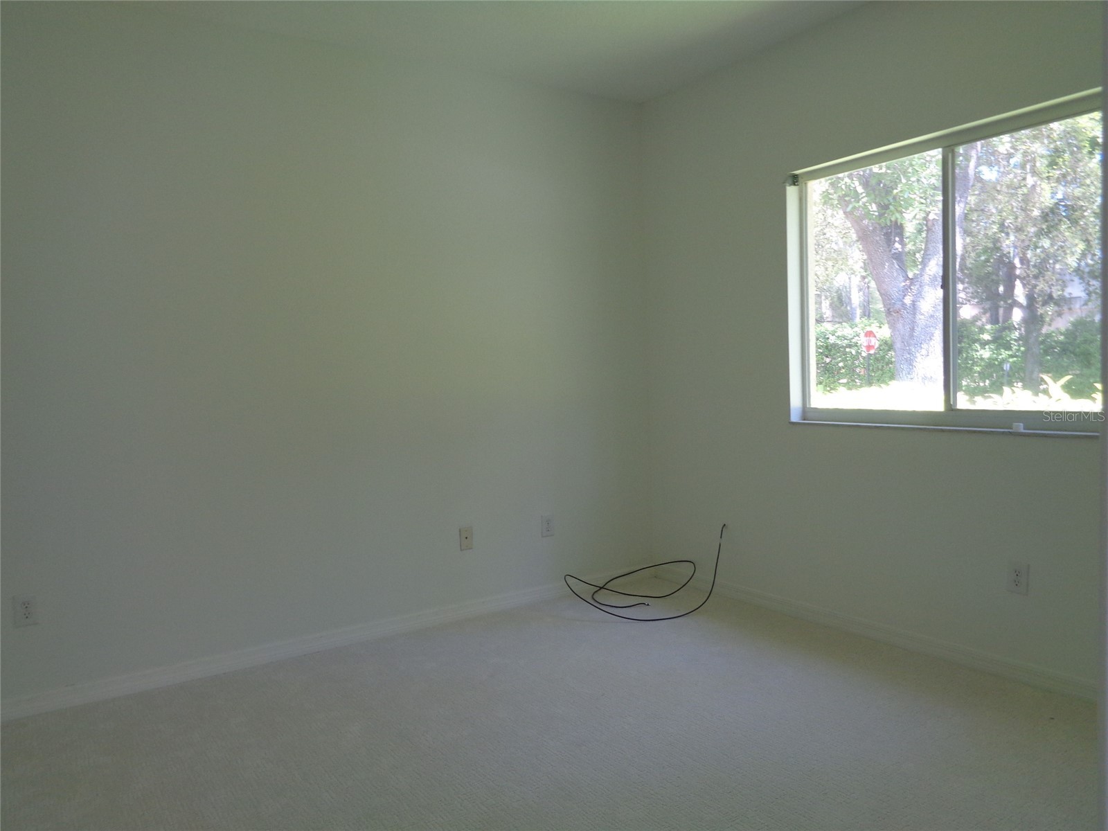 6102 Savoy Circle Lutz FL 33558 TB8487856 image38