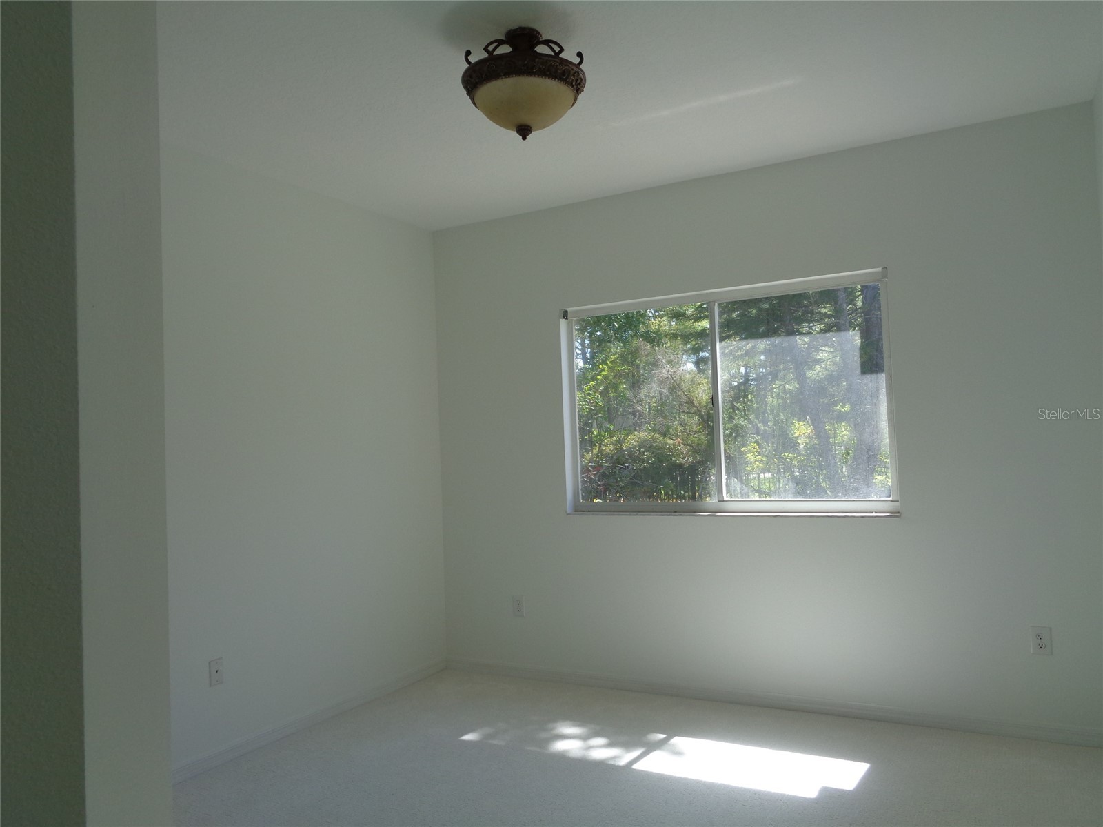 6102 Savoy Circle Lutz FL 33558 TB8487856 image39