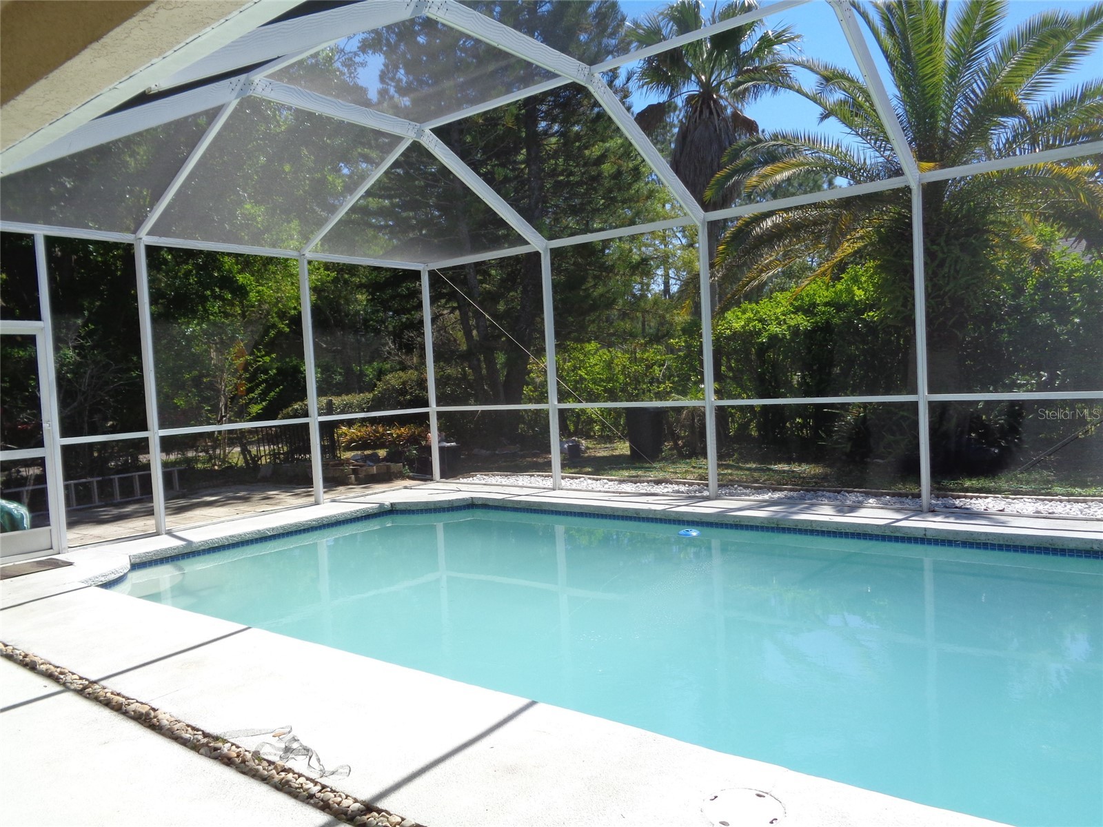 6102 Savoy Circle Lutz FL 33558 TB8487856 image40