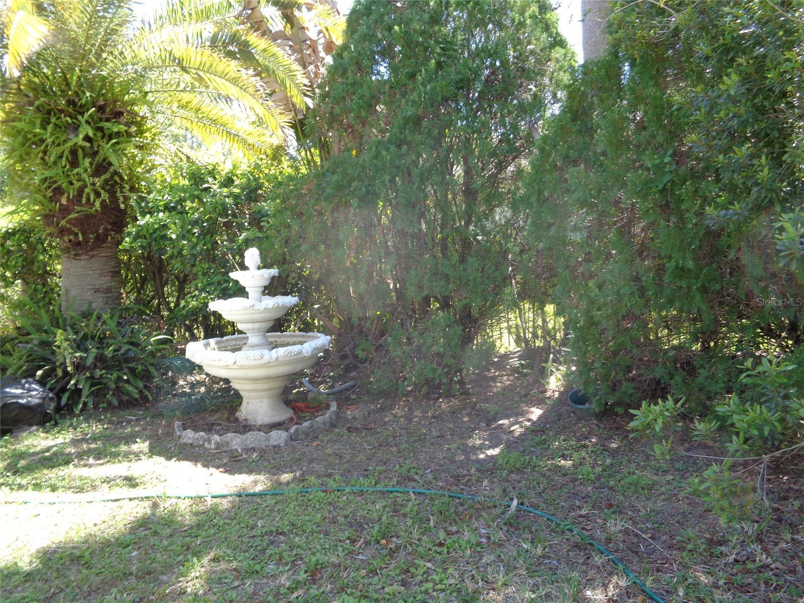6102 Savoy Circle Lutz FL 33558 TB8487856 image44