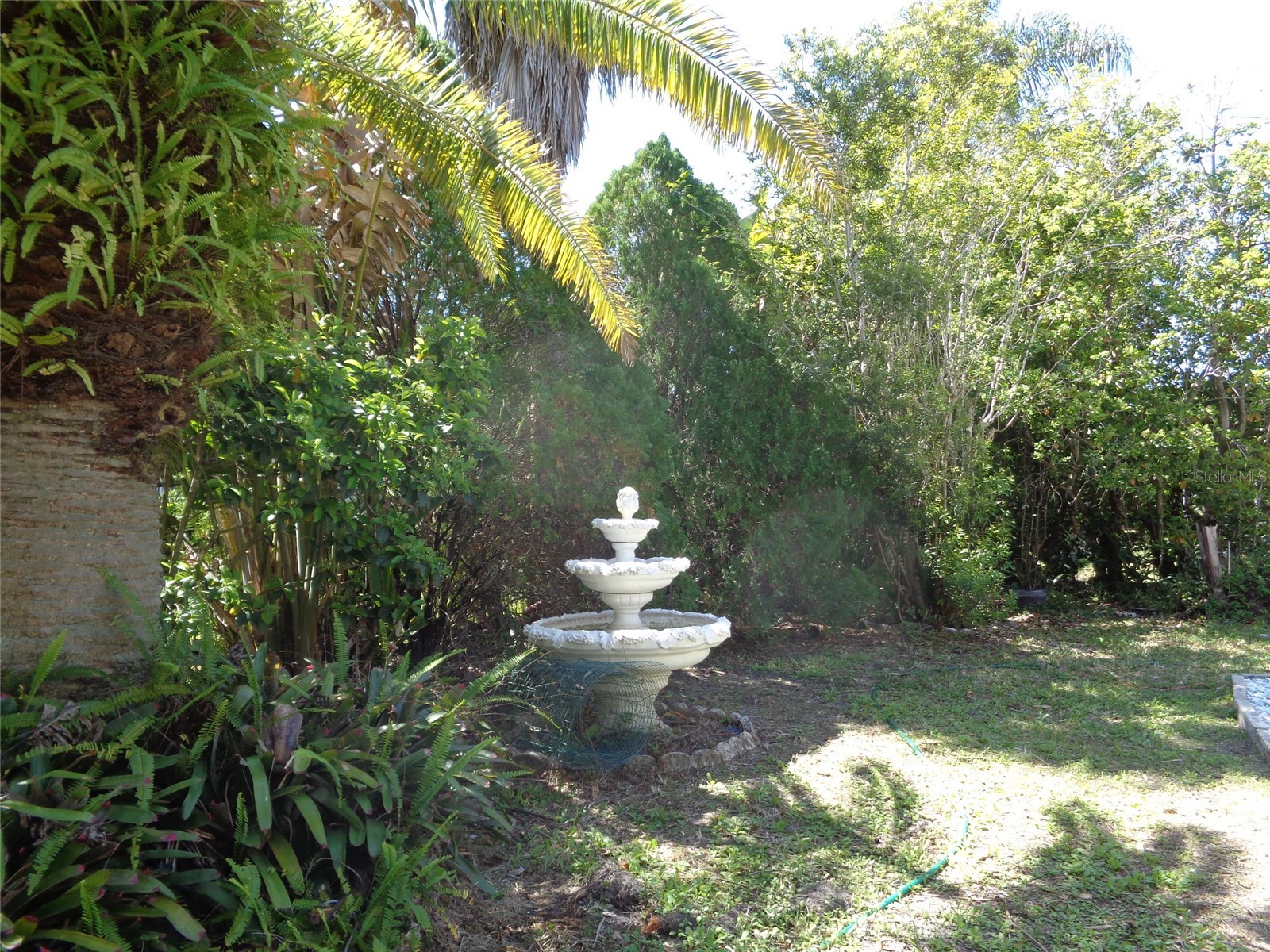 6102 Savoy Circle Lutz FL 33558 TB8487856 image46