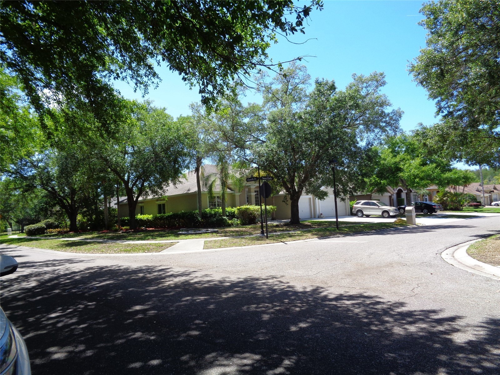 6102 Savoy Circle Lutz FL 33558 TB8487856 image49