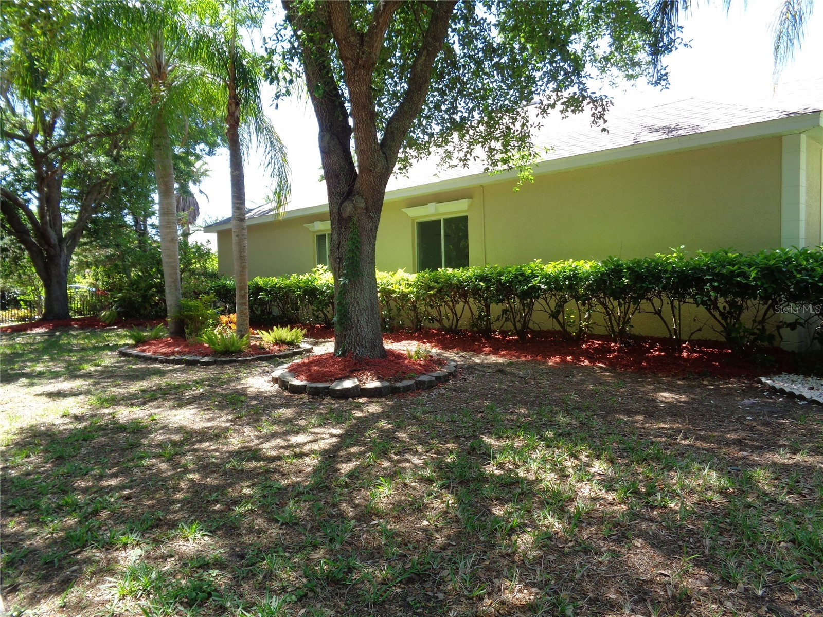6102 Savoy Circle Lutz FL 33558 TB8487856 image50