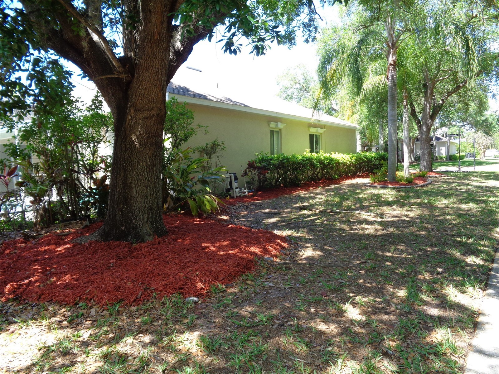 6102 Savoy Circle Lutz FL 33558 TB8487856 image51