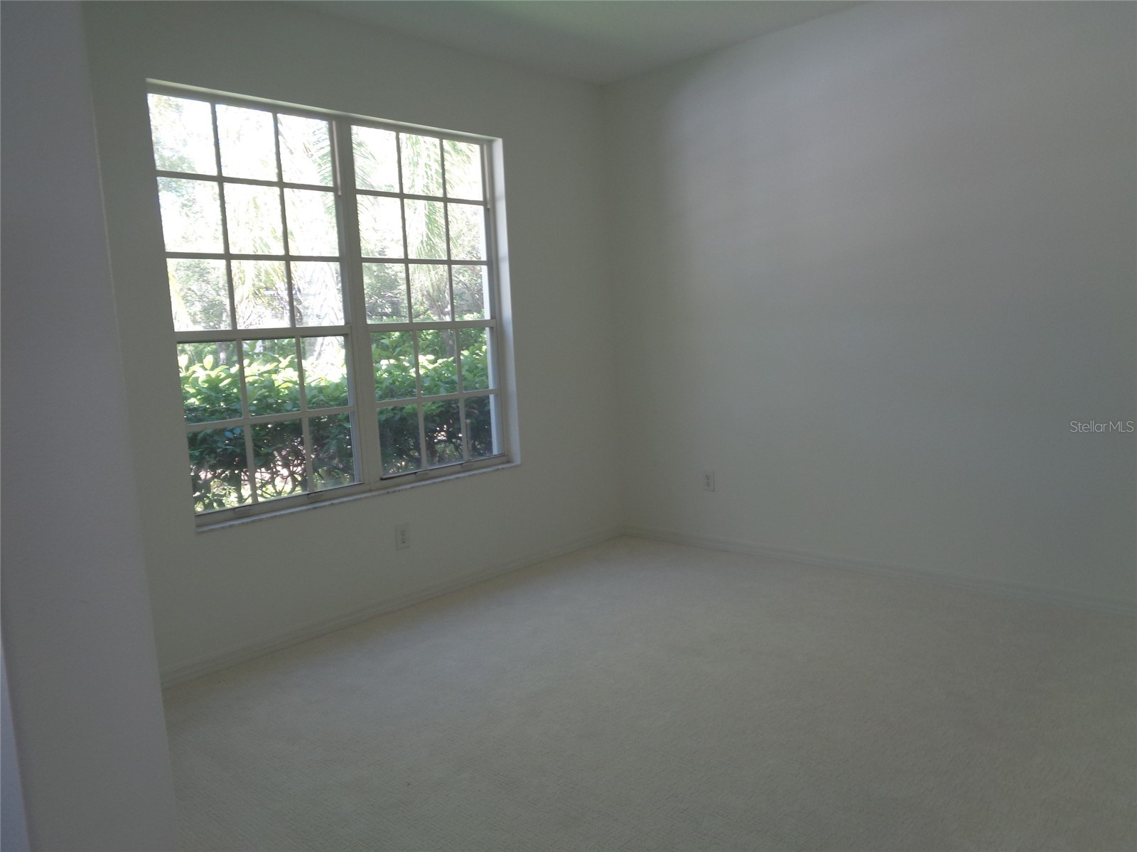 6102 Savoy Circle Lutz FL 33558 TB8487856 image6