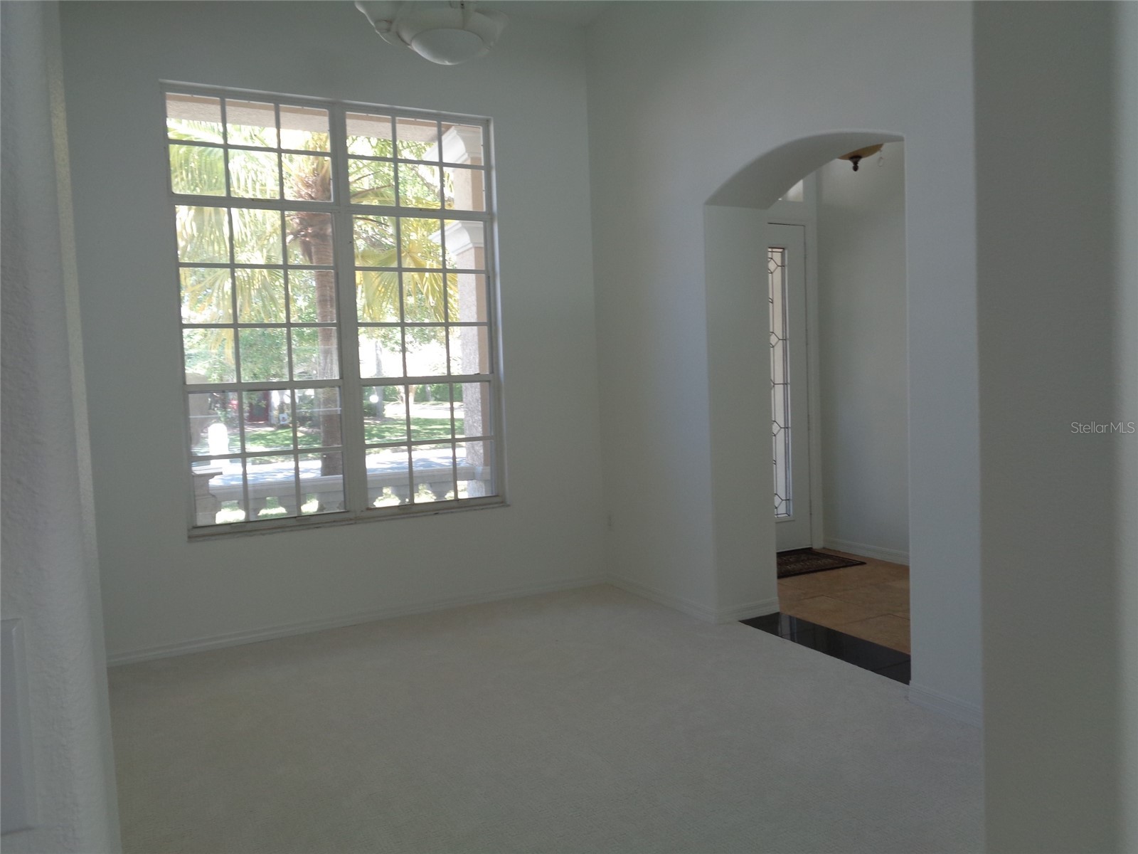 6102 Savoy Circle Lutz FL 33558 TB8487856 image7