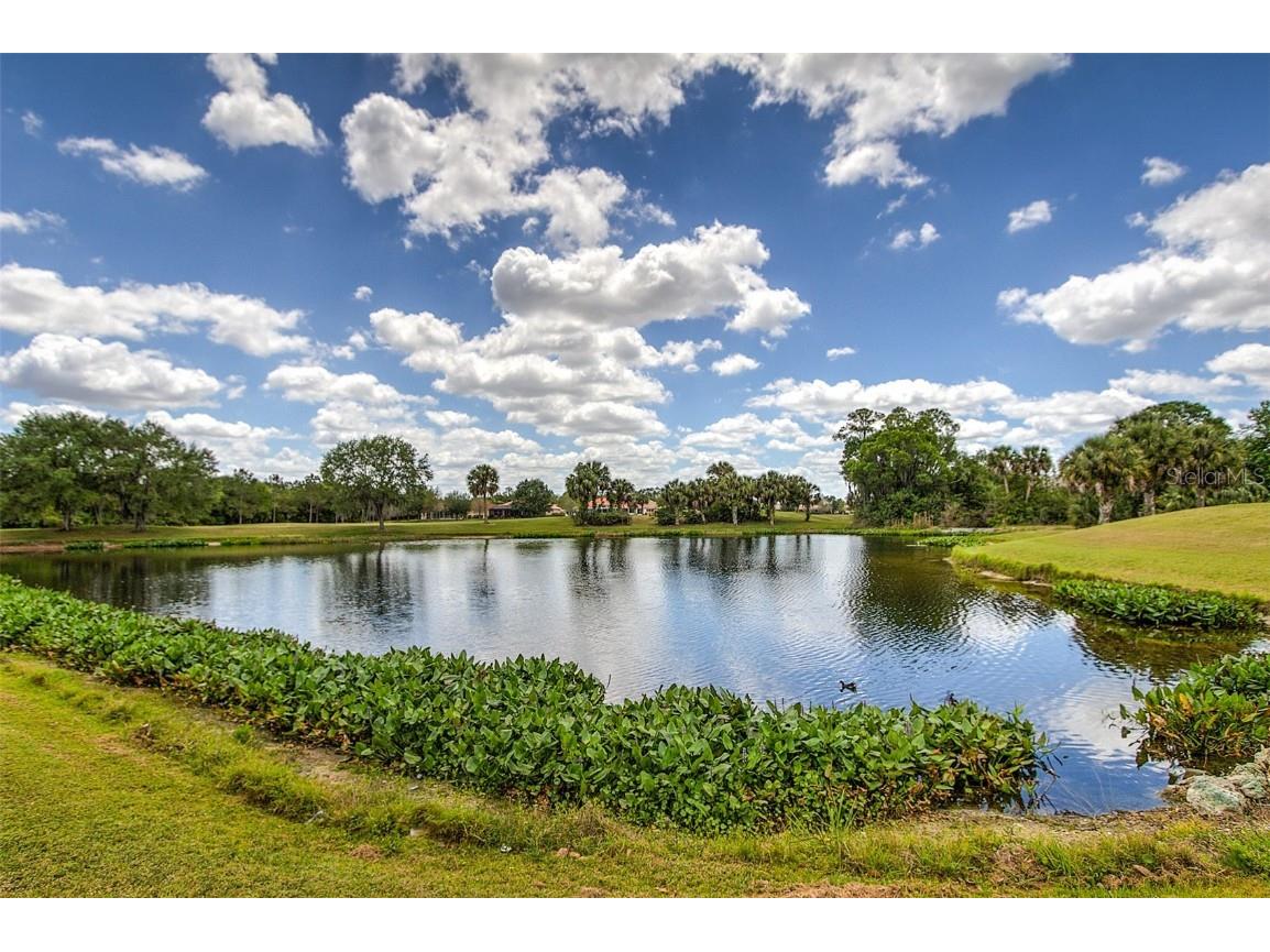 6103 Aviary Court Bradenton FL 34203 A4643725 image38