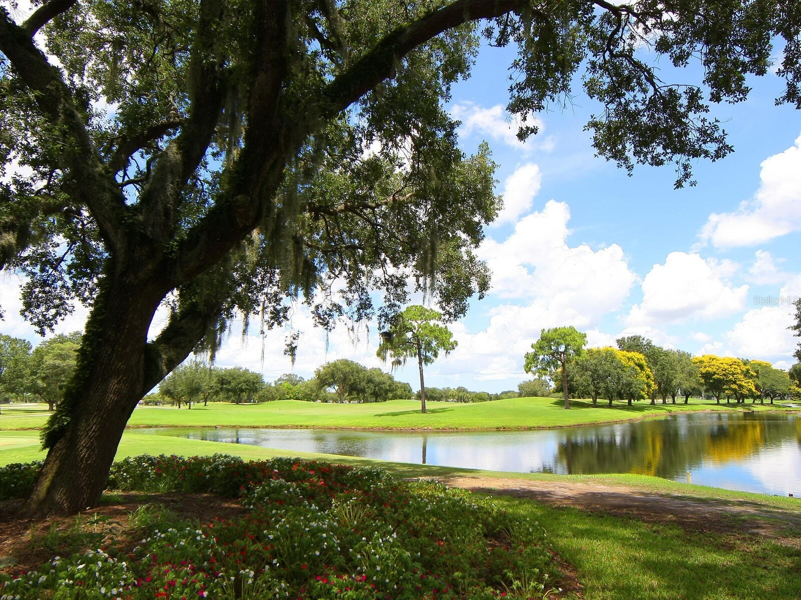 6103 Clubside Drive #6103 Sarasota FL 34243 A4664991 image57