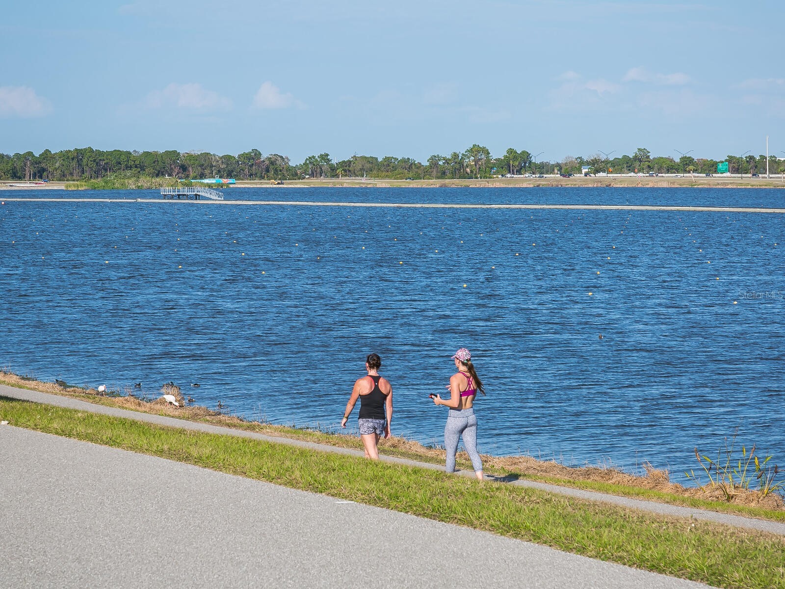 6103 Clubside Drive #6103 Sarasota FL 34243 A4664991 image64