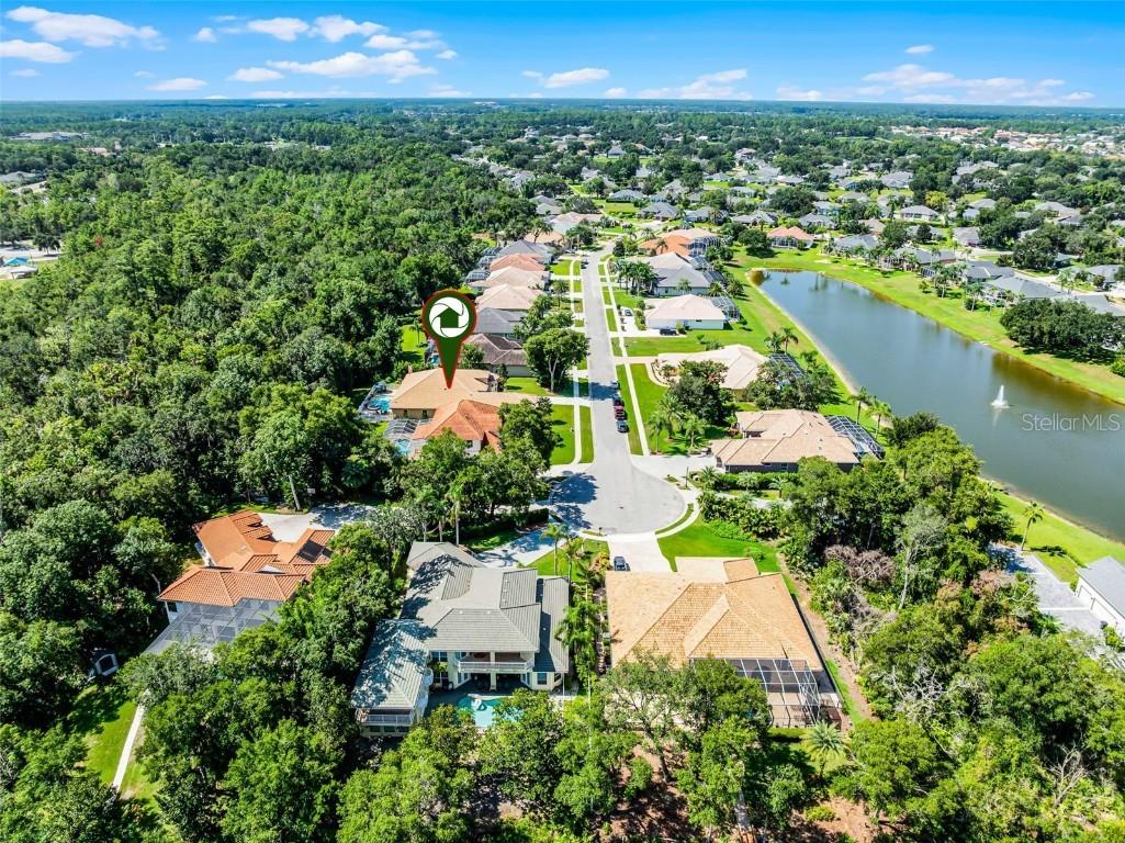 6103 Oxbow Bend Lane Port Orange FL 32128 - Spruce Creek O6344160 image45