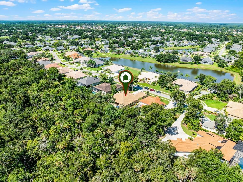 6103 Oxbow Bend Lane Port Orange FL 32128 - Spruce Creek O6344160 image46