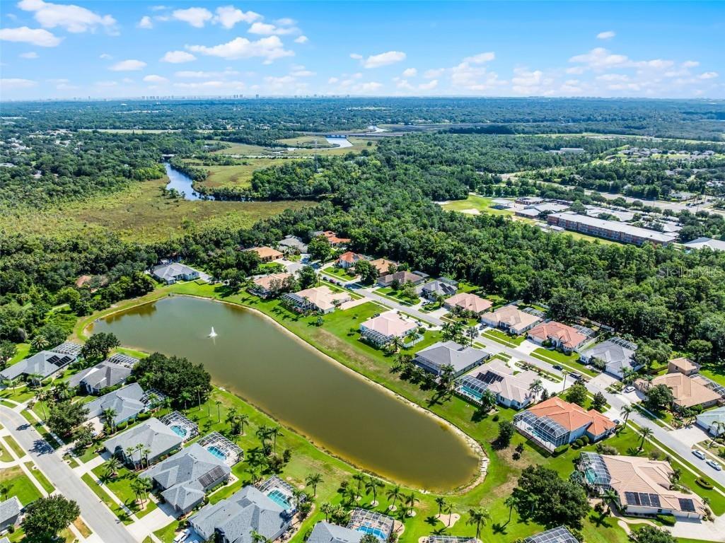6103 Oxbow Bend Lane Port Orange FL 32128 - Spruce Creek O6344160 image50