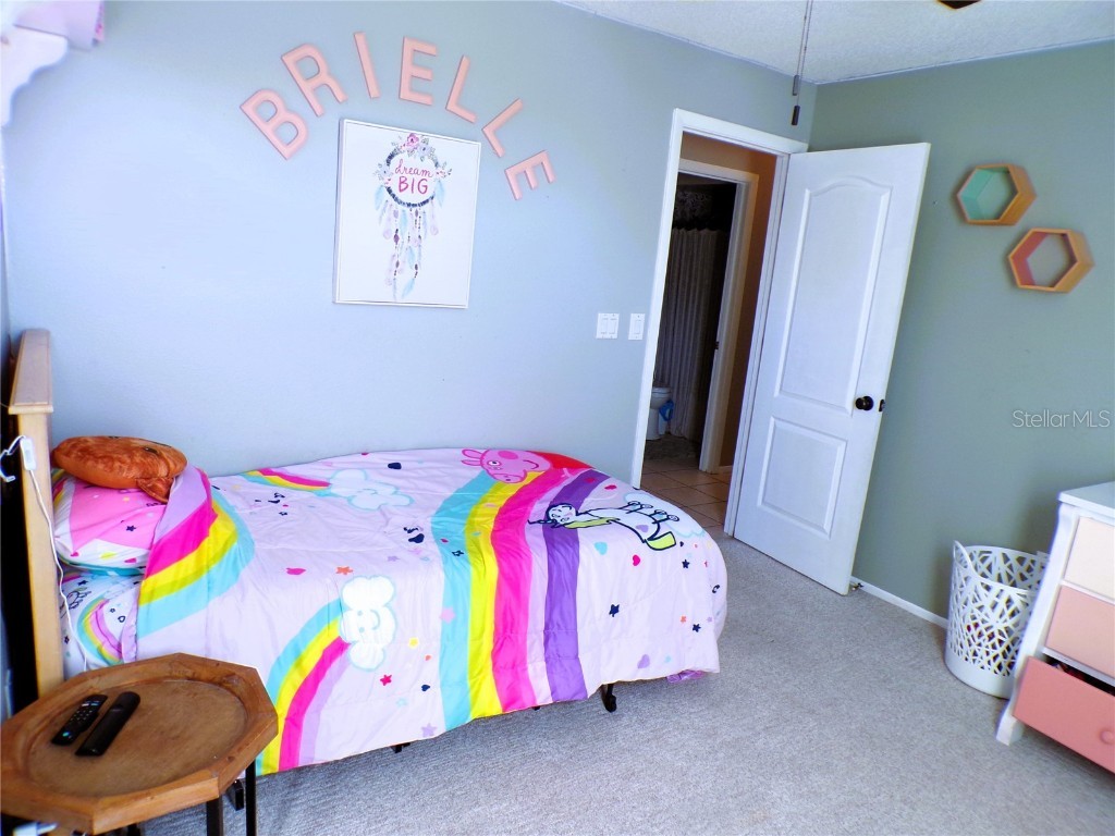 6104 65th Court E Palmetto FL 34221 A4672203 image28