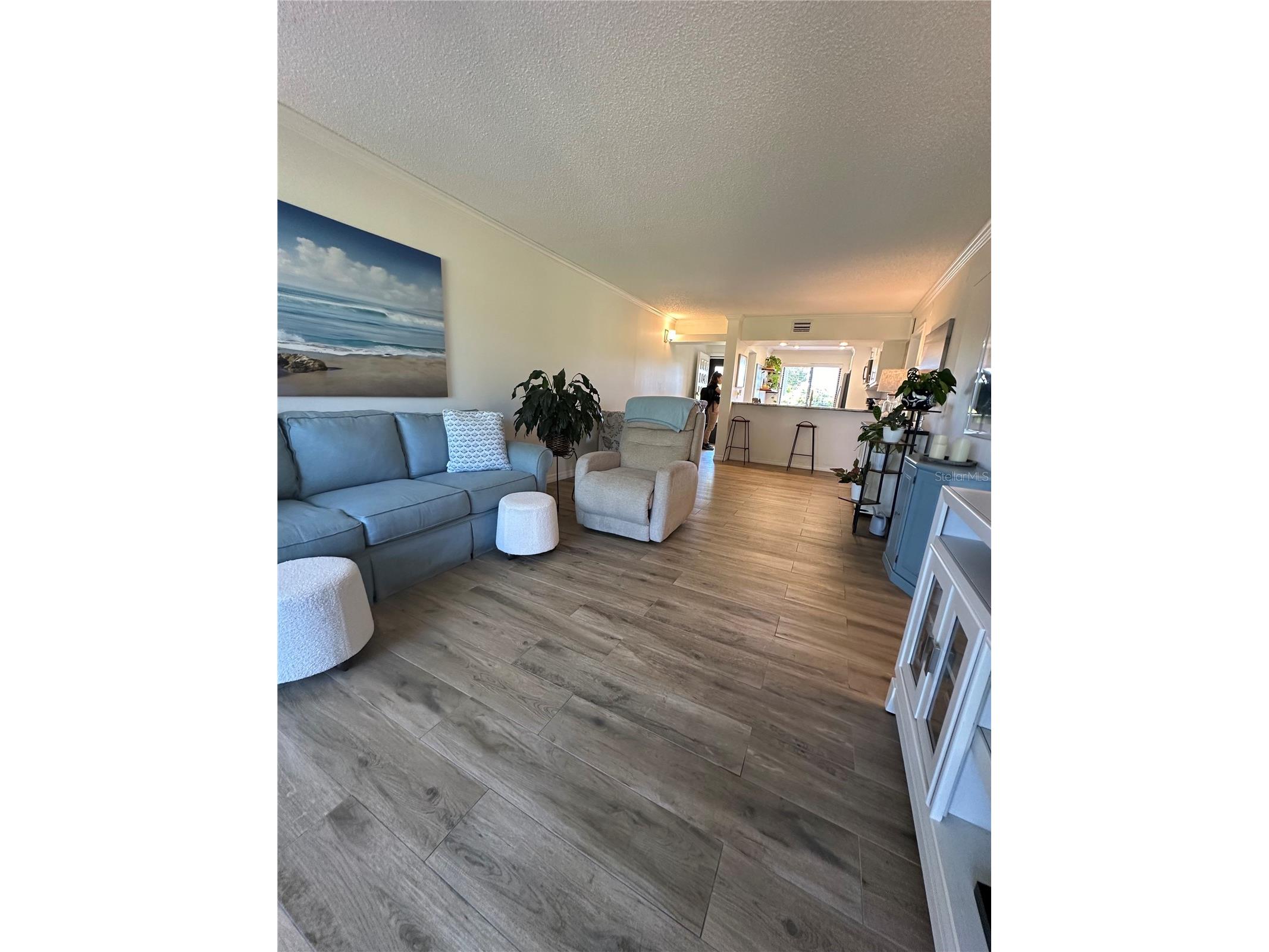 6104 Palma Del Mar Boulevard S #102 Saint Petersburg FL 33715 TB8504277 image20