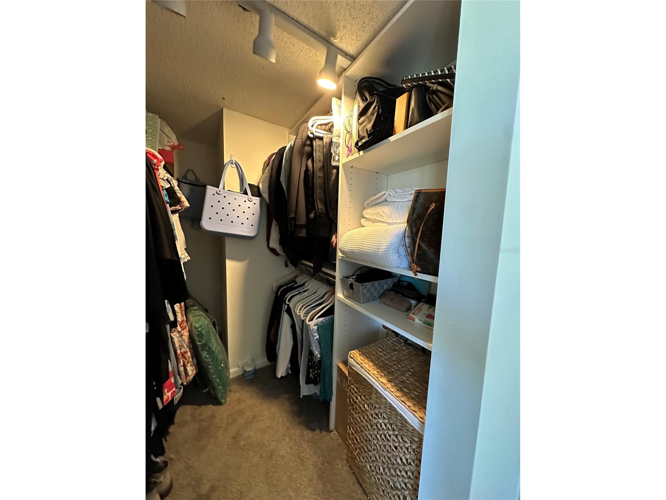 6104 Palma Del Mar Boulevard S #102 Saint Petersburg FL 33715 TB8504277 image33