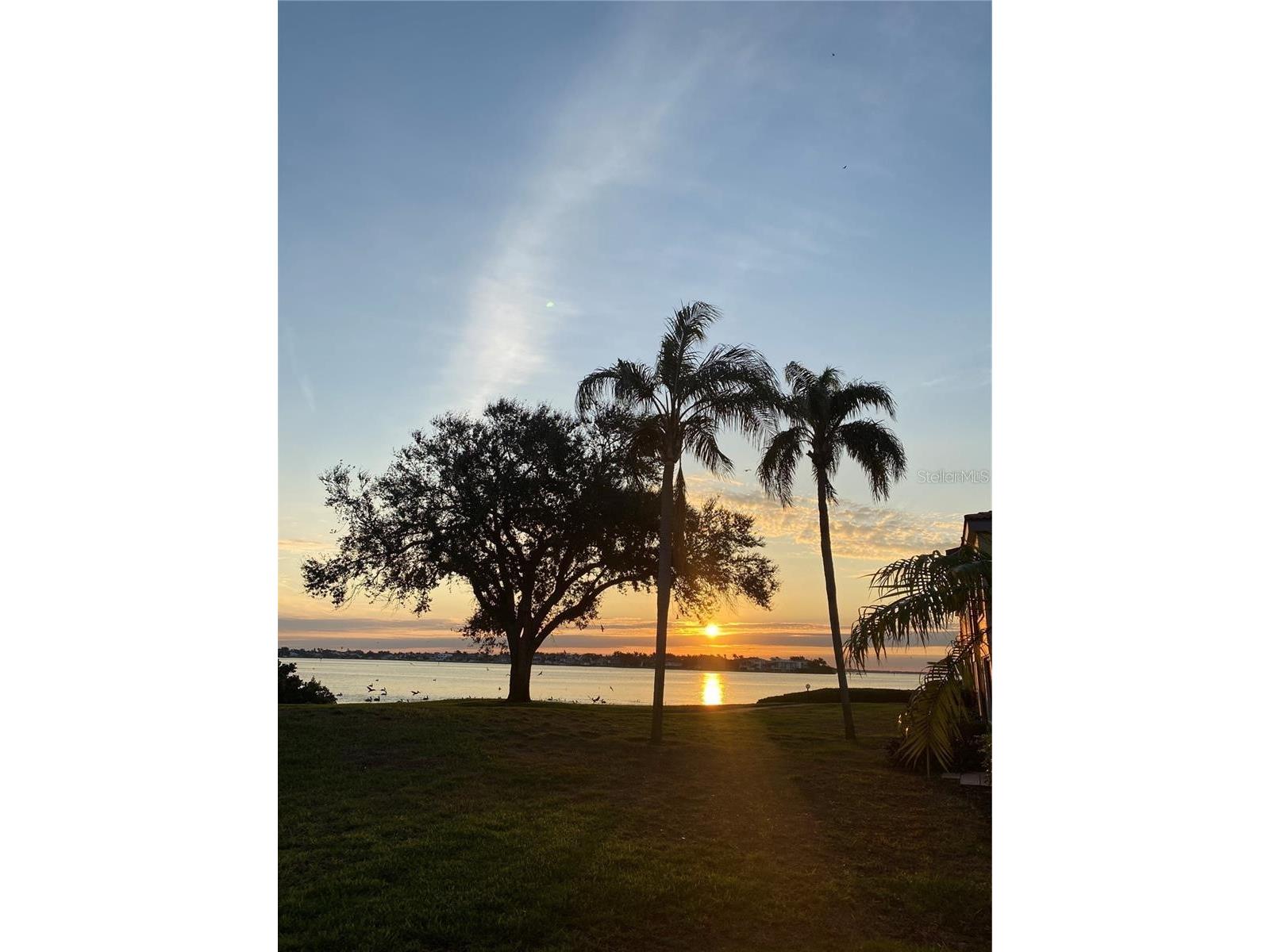 6104 Palma Del Mar Boulevard S #102 Saint Petersburg FL 33715 TB8504277 image5