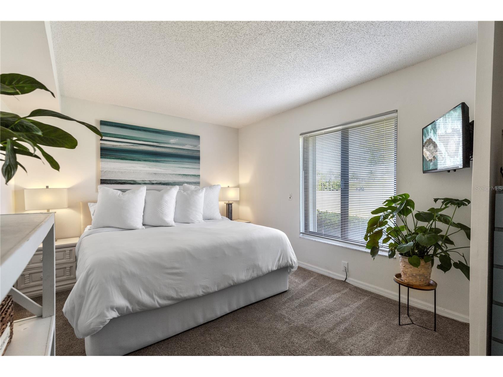 6104 Palma Del Mar Boulevard S #102A Saint Petersburg FL 33715 TB8527128 image21