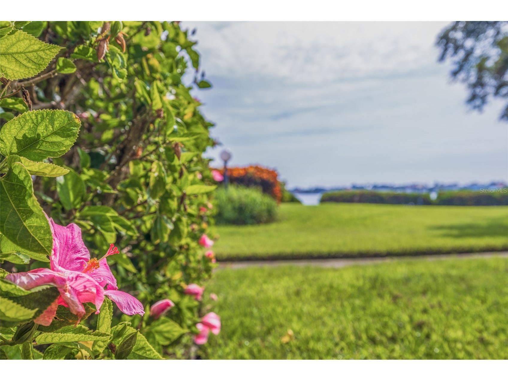 6104 Palma Del Mar Boulevard S #404 Saint Petersburg FL 33715 - BOCA CIEGA BAY TB8460253 image41