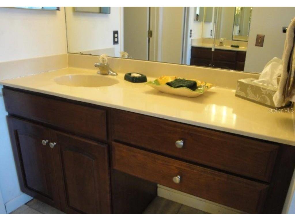 6104 Palma Del Mar Boulevard S #604 Saint Petersburg FL 33715 TB8474764 image11