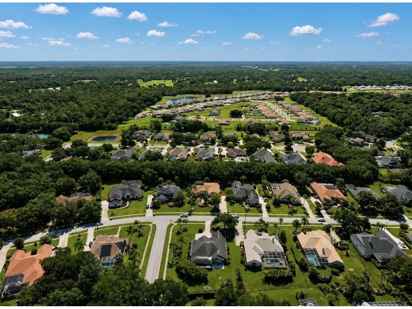 6105 Audubon Manor Boulevard Lithia FL 33547 TB8532375 image82