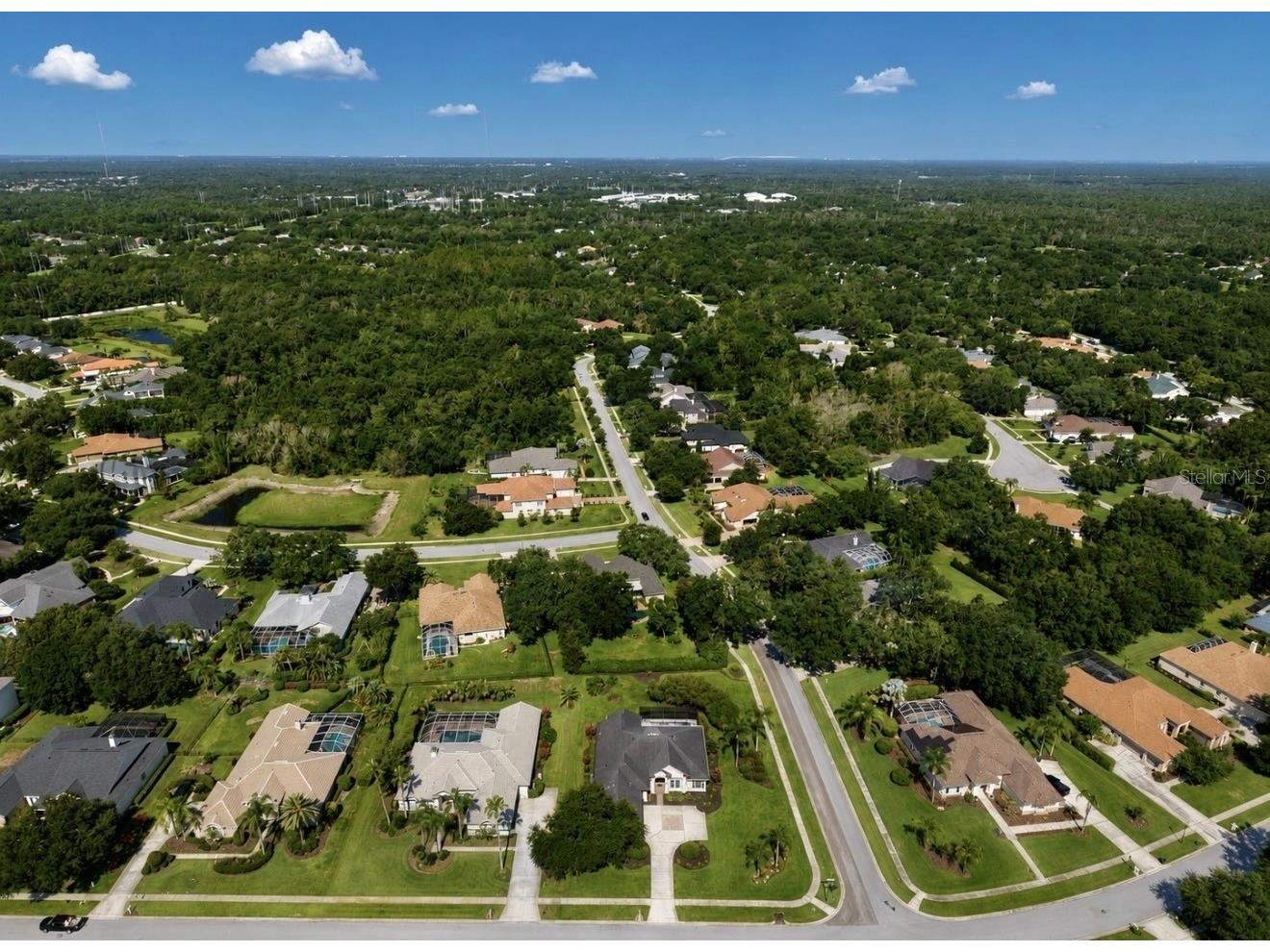 6105 Audubon Manor Boulevard Lithia FL 33547 TB8532375 image83