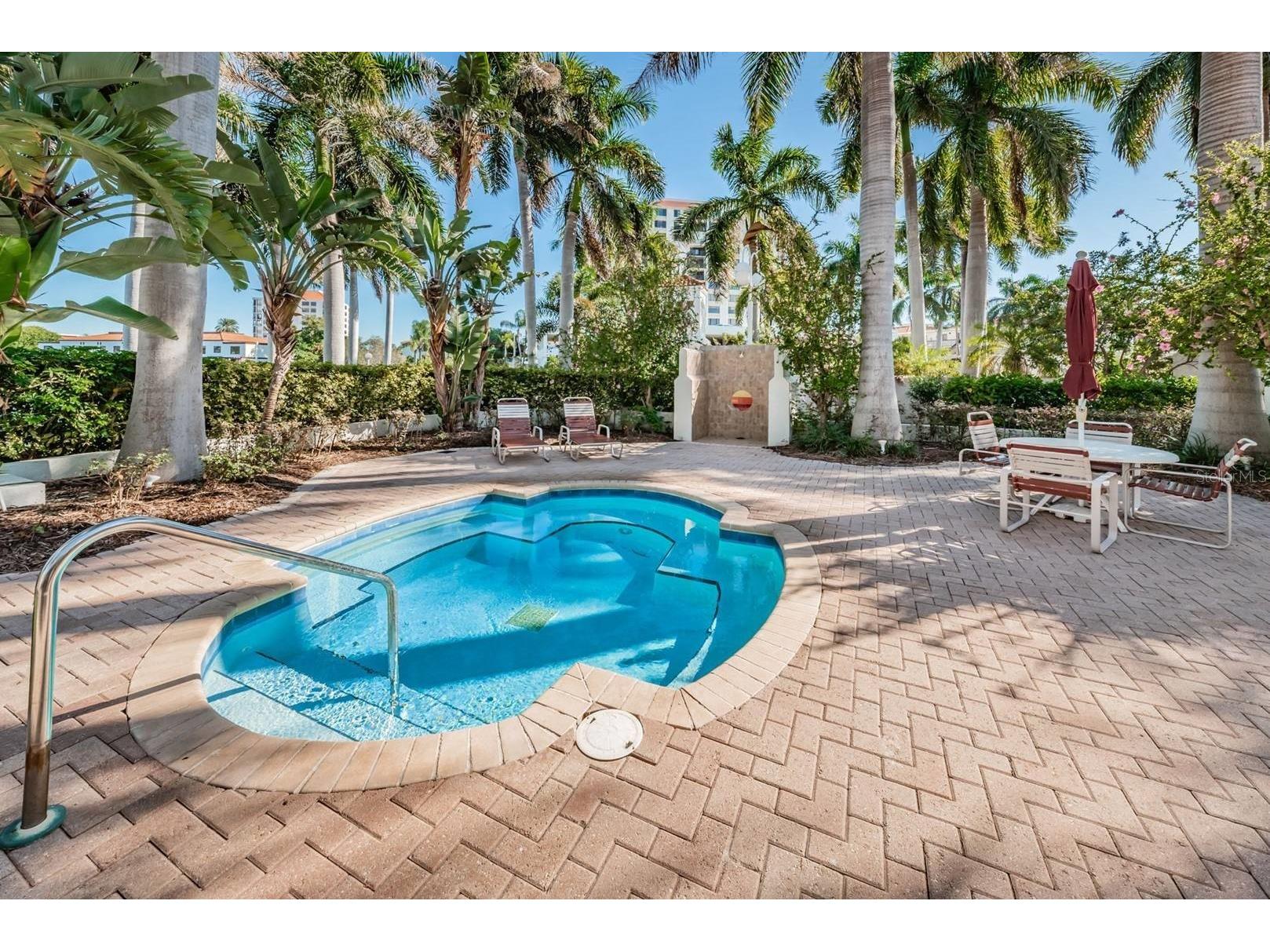 6105 Bahia Del Mar Circle #287 Saint Petersburg FL 33715 TB8474468 image20