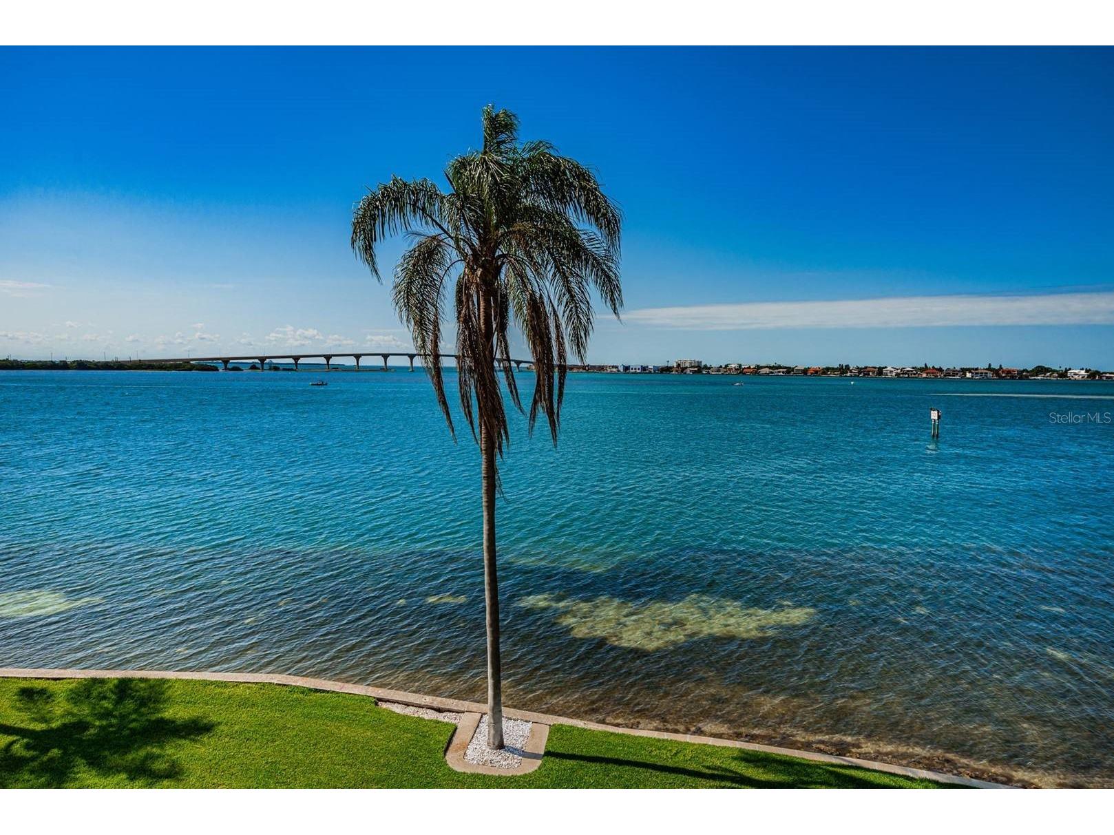 6105 Bahia Del Mar Circle #382 Saint Petersburg FL 33715 TB8474489 image1
