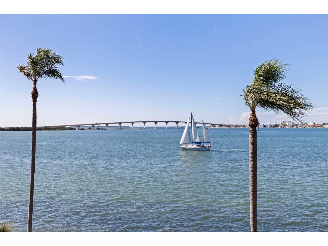 6105 Bahia Del Mar Circle #384 Saint Petersburg FL 33715 TB8410229 image3