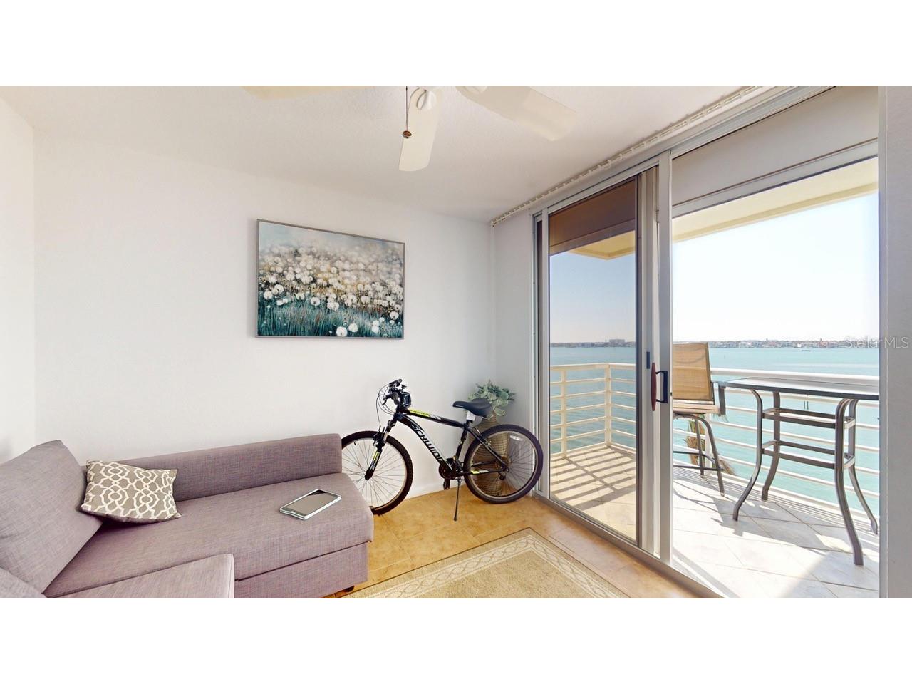 6105 Bahia Del Mar Circle #682 Saint Petersburg FL 33715 TB8395683 image22