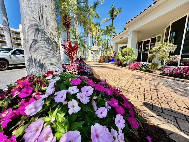 6105 Bahia Del Mar Circle #682 Saint Petersburg FL 33715 TB8395683 image30