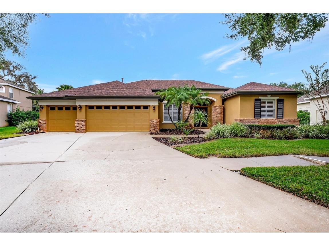 6105 Ibispark Drive Lithia FL 33547 T3488678 image1