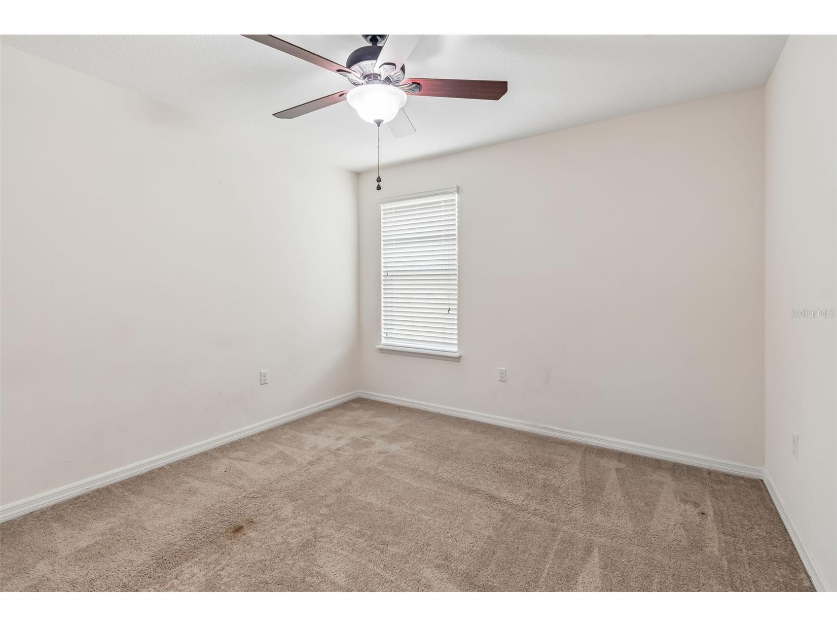 6105 Merrifield Drive Zephyrhills FL 33541 TB8487246 image47
