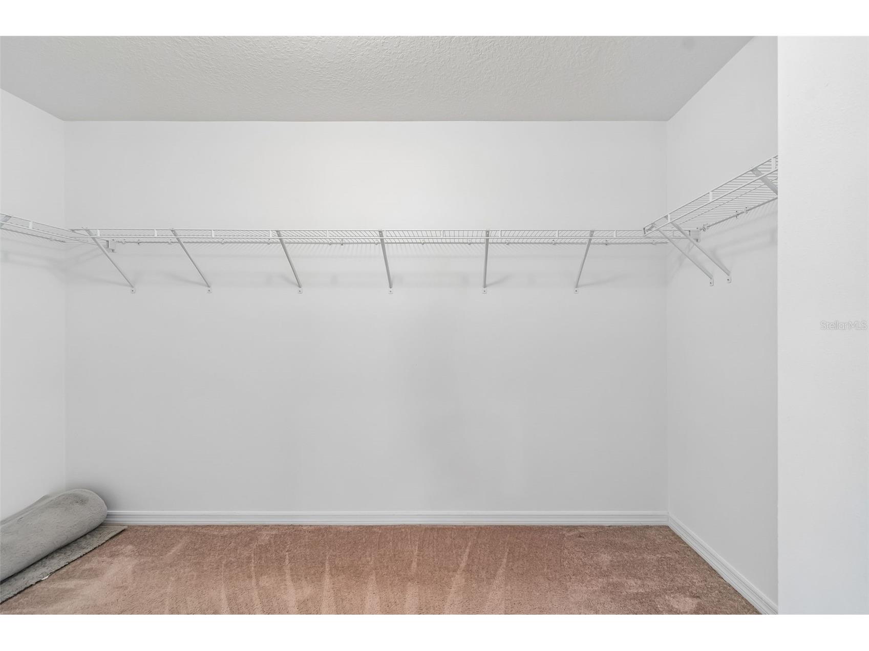 6105 Merrifield Drive Zephyrhills FL 33541 TB8487246 image62