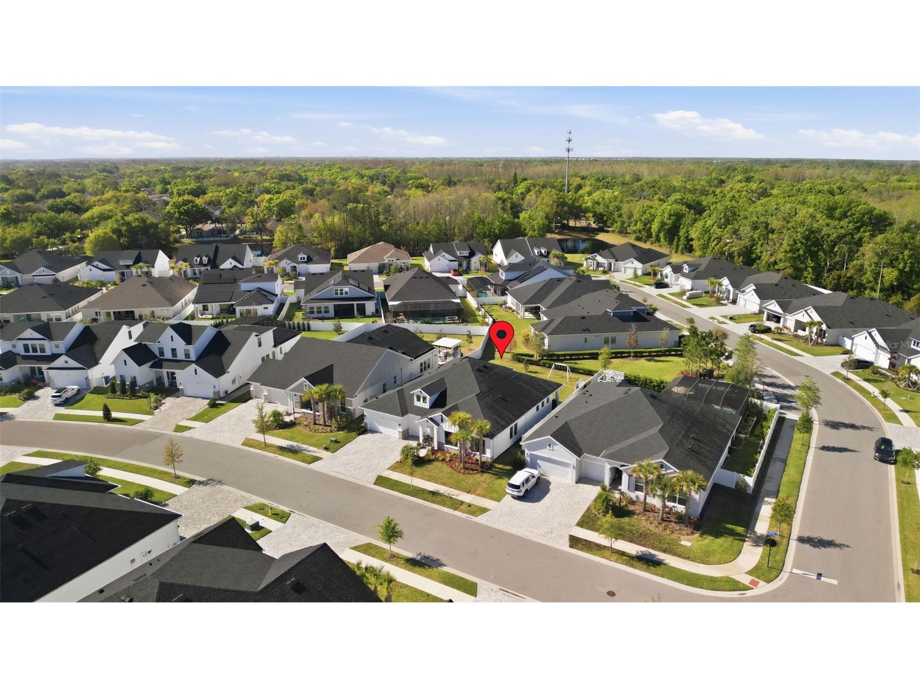 6105 Nikki Lane Odessa FL 33556 TB8488215 image34