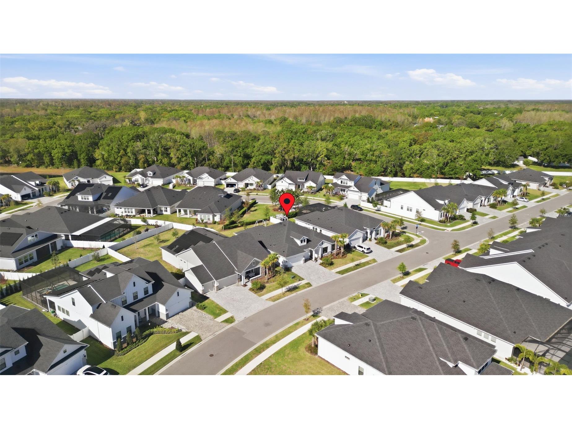 6105 Nikki Lane Odessa FL 33556 TB8488215 image40