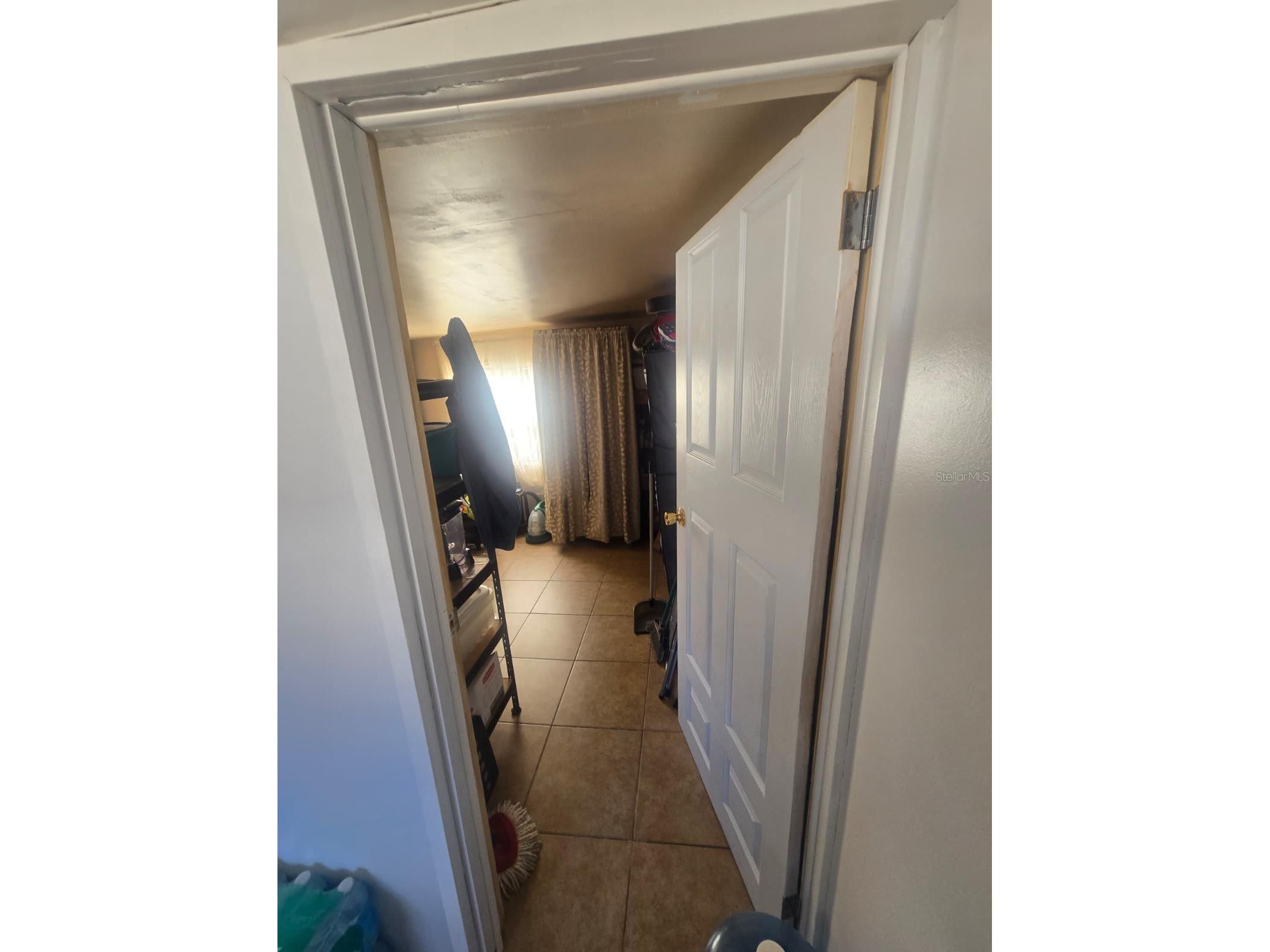 6106 Mangrove Drive Wesley Chapel FL 33544 TB8476541 image24