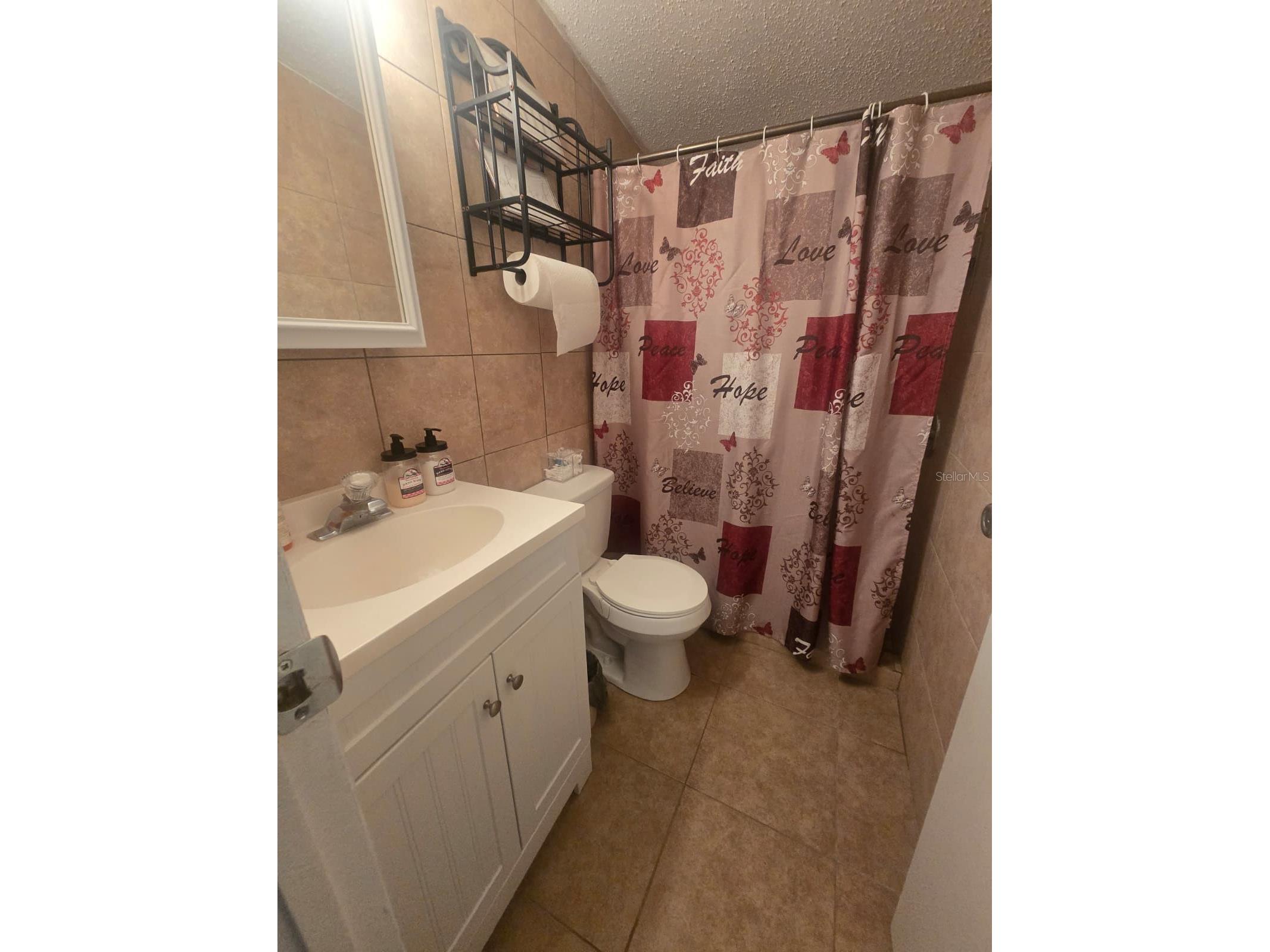 6106 Mangrove Drive Wesley Chapel FL 33544 TB8476541 image30