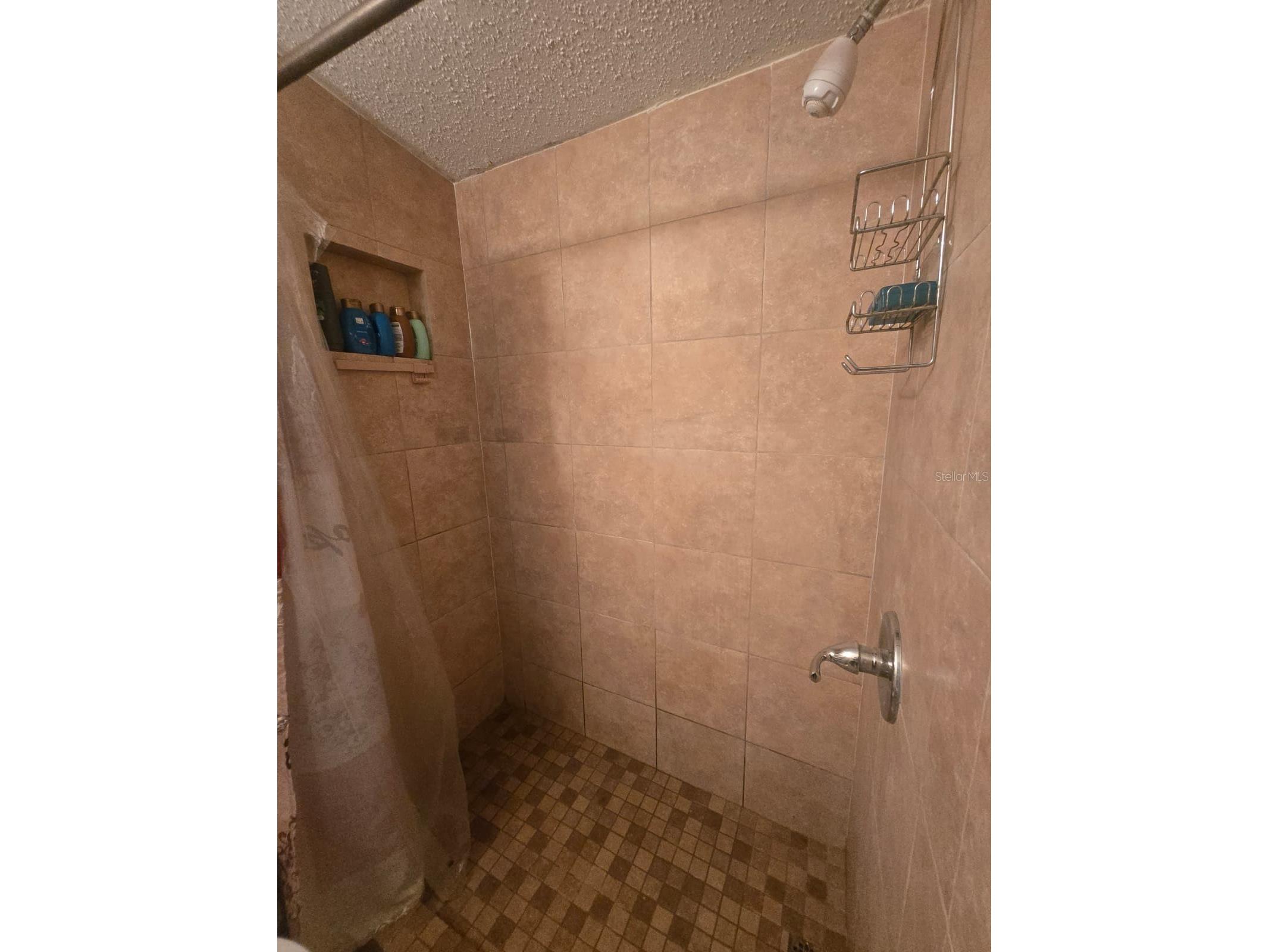 6106 Mangrove Drive Wesley Chapel FL 33544 TB8476541 image32
