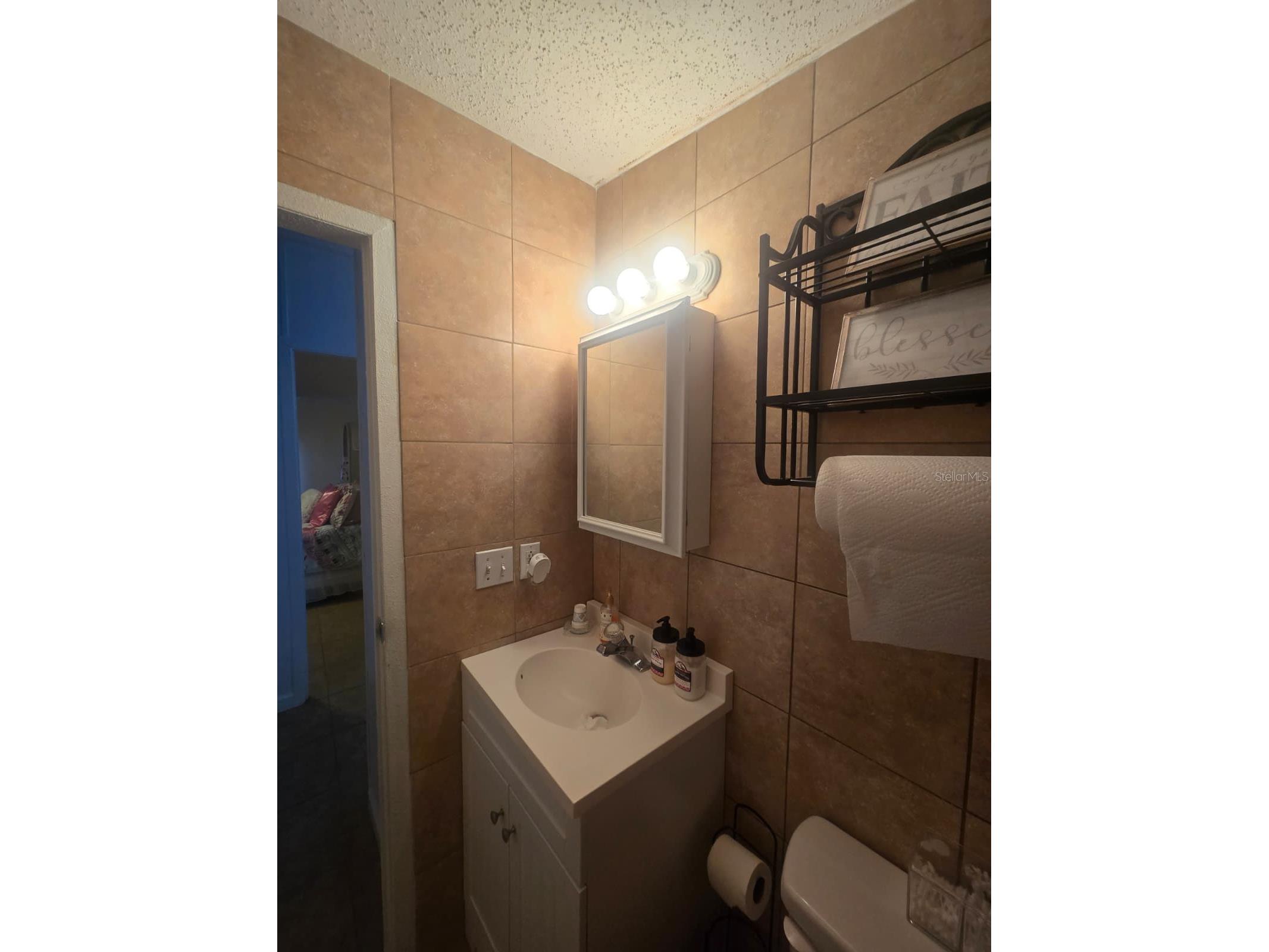6106 Mangrove Drive Wesley Chapel FL 33544 TB8476541 image33