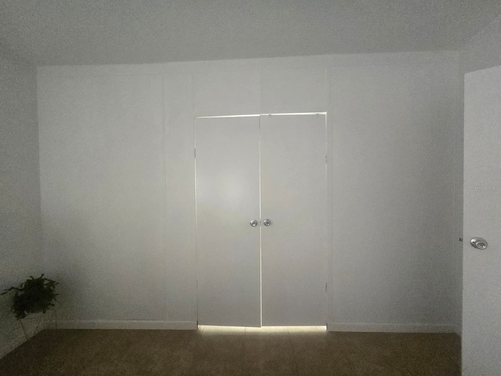 6106 Mangrove Drive Wesley Chapel FL 33544 TB8476541 image40