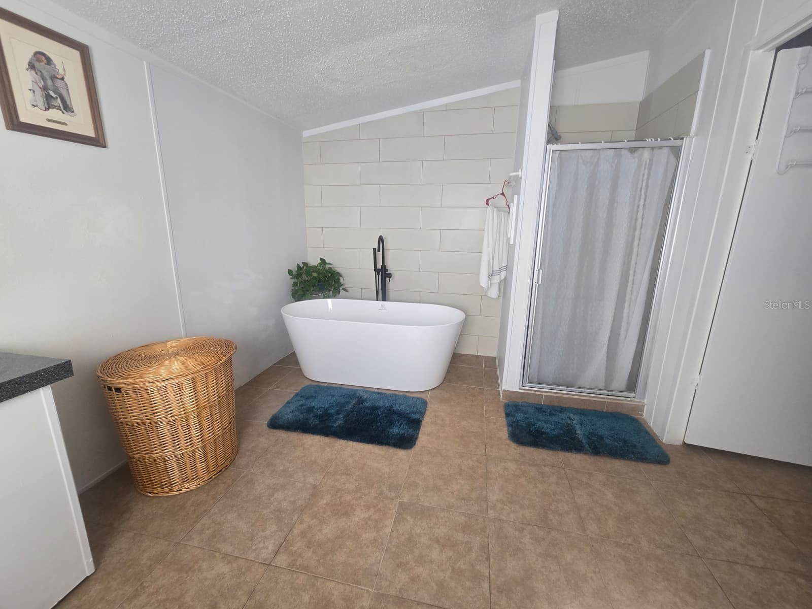 6106 Mangrove Drive Wesley Chapel FL 33544 TB8476541 image43