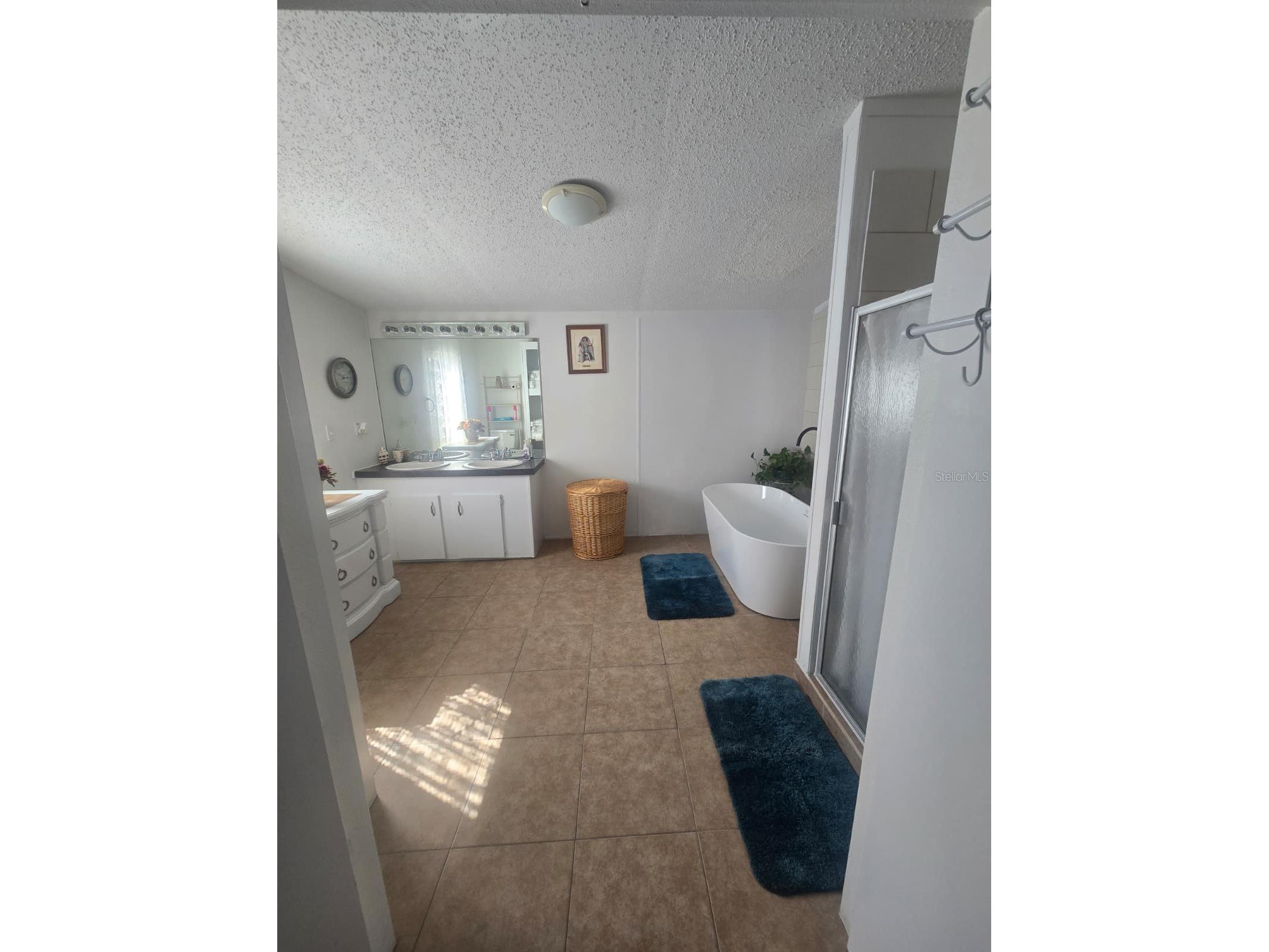 6106 Mangrove Drive Wesley Chapel FL 33544 TB8476541 image44