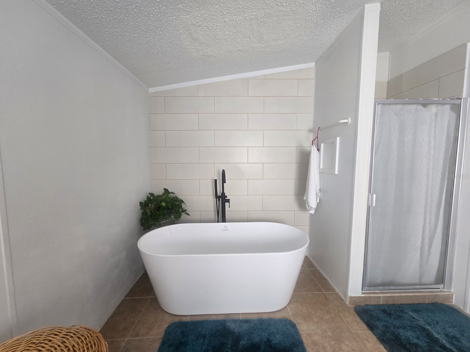 6106 Mangrove Drive Wesley Chapel FL 33544 TB8476541 image45