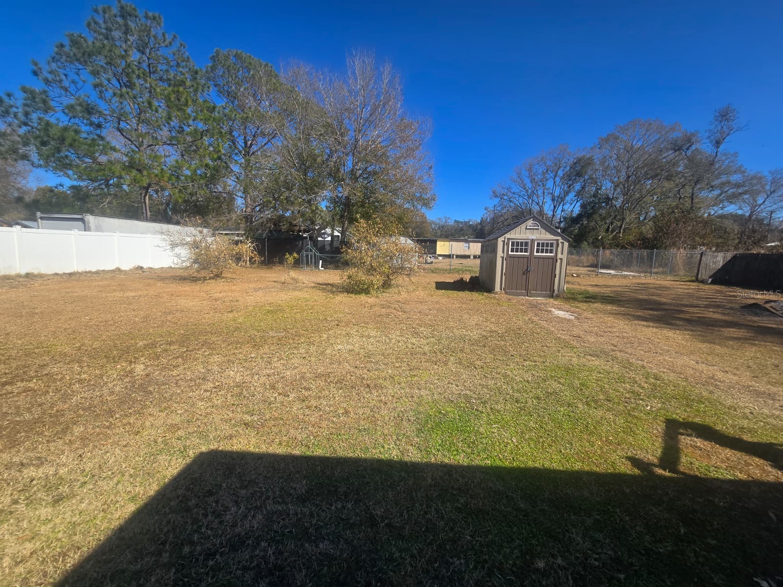 6106 Mangrove Drive Wesley Chapel FL 33544 TB8476541 image5
